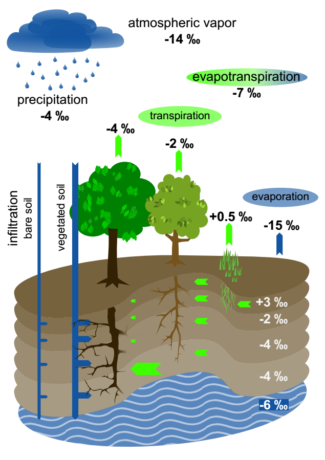 ecosystem plot.png